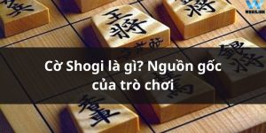 Cờ Shogi là gì? Nguồn gốc của trò chơi